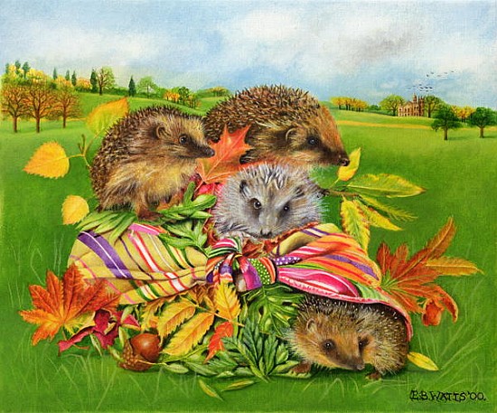Hedgehogs Inside Scarf, 2000 (acrylic on canvas)  à E.B.  Watts