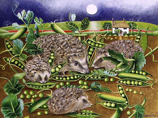 Hedgehogs with Peas beside a Poppy field at night, 1994 (acrylic)  à E.B.  Watts