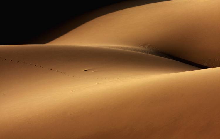 Desert and the human torso à Ebrahim Bakhtari bonab