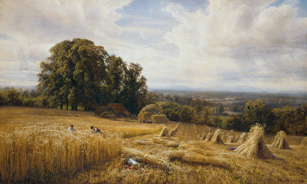 récolte de céréales à Edmund George Warren