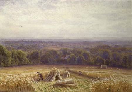 Harvesting à Edmund George Warren