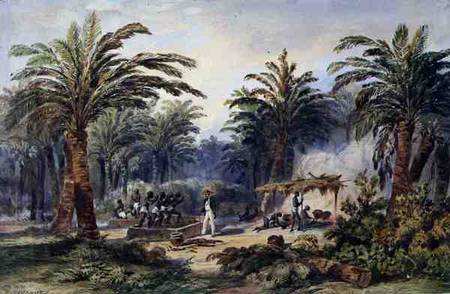The Fabrication of Palm Oil at Whydah, West Coast of Africa à Edouard Auguste Nousveaux