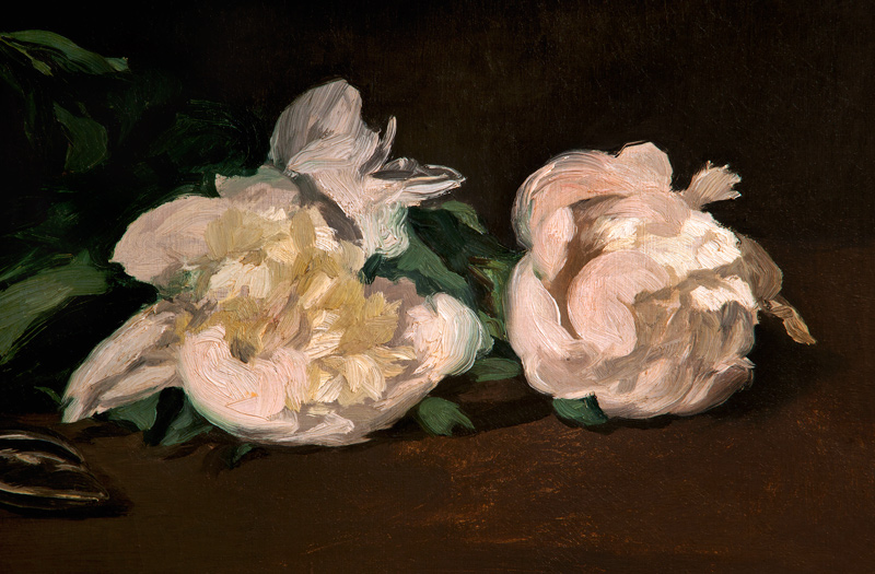 Branch of White Peonies and Secateurs à Edouard Manet