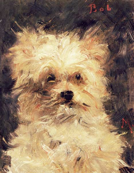 Head of a Dog - "Bob" à Edouard Manet