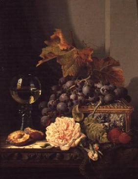 Still Life