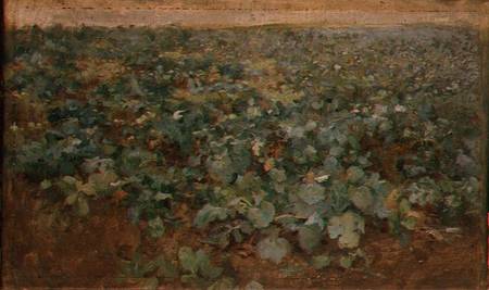 The Turnip Field à Edward Stott