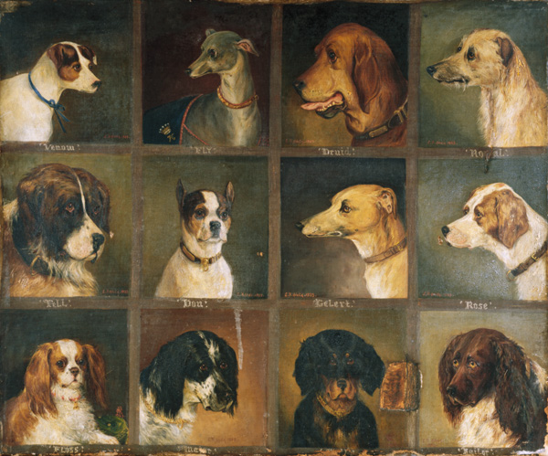 Twelve Favourite Dogs à Edwin Frederick Holt