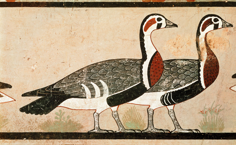 Meidum geese, from the Tomb of Nefermaat and Atet, Old Kingdom à Egyptien