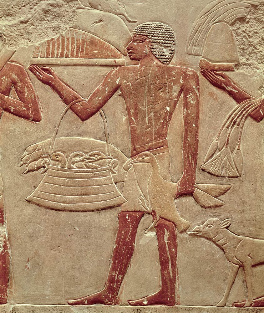 Relief depicting a porter with a basket of fledglings, from the Tomb of Princess Idut, Old Kingdom à Egyptien