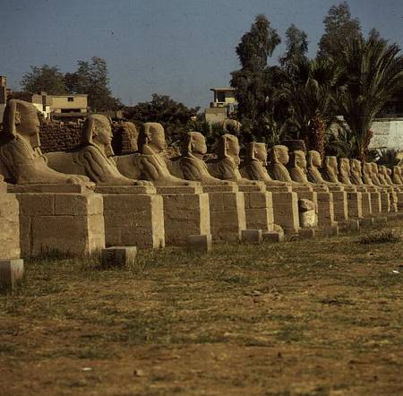 Avenue of Sphinxes, added by Nectanebo I (380-362 BC) Late Period à Egyptien