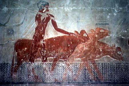 Cattle fording a canal in the Mastaba Chapel of Ti, Old Kingdom à Egyptien