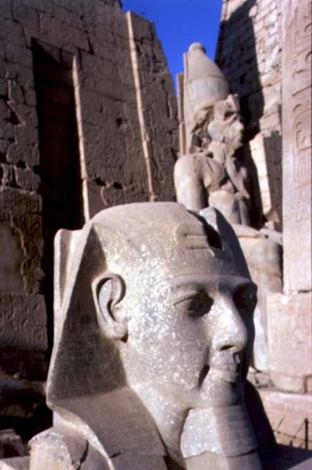 Colossal head of Ramesses II (1298-32 BC) New Kingdom (photo) à Egyptien