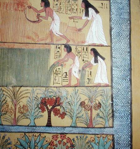 Detail of a harvest scene on the East Wall, from the Tomb of Sennedjem, The Workers' Village, New Ki à Egyptien