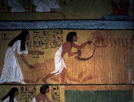 Detail of a harvest scene on the East Wall, from the Tomb of Sennedjem, The Workers' Village, New Ki à Egyptien