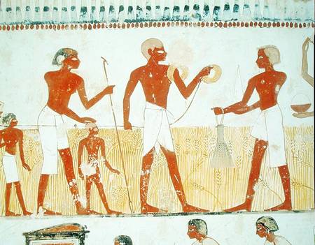 Measuring the land using rope, from the Tomb Chapel of Menna, New Kingdom à Egyptien