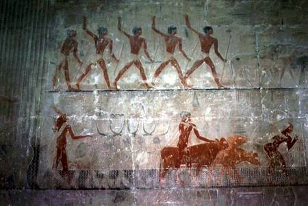 Men herding sheep and cattle from the Mastaba Chapel of Ti, Old Kingdom à Egyptien