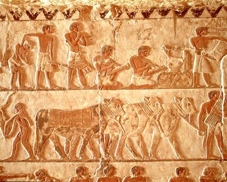 Painted relief depicting the posting of taxes and a group of cattle, Old Kingdom à Egyptien