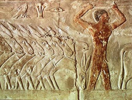 Troup of donkeys, from the Mastaba of Mereruka, Old Kingdom à Egyptien