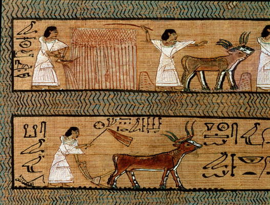 Reaping and ploughing, detail from a depiction of farming activities in the afterlife, from the Book à 19ème dynastie égyptienne