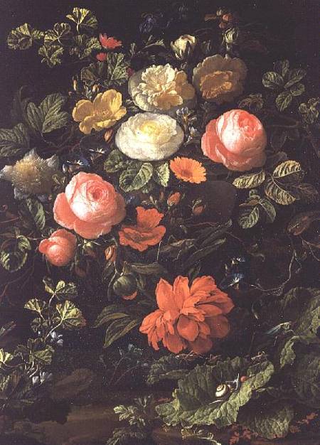 Still Life with Roses, Insects and Snails à Elias van den Broeck
