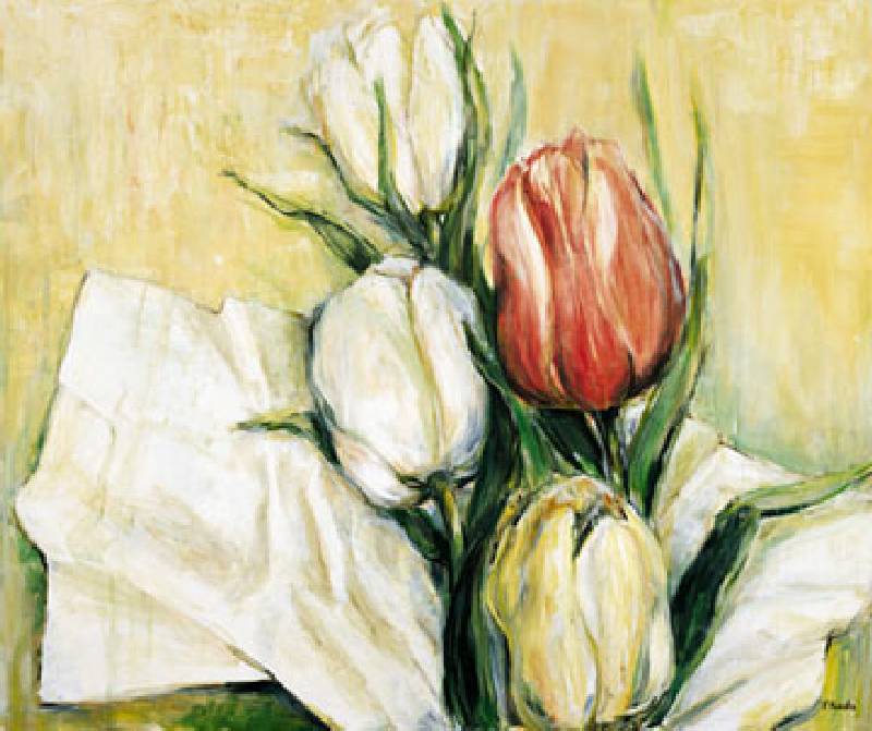 Tulipa Antica à Elisabeth Krobs