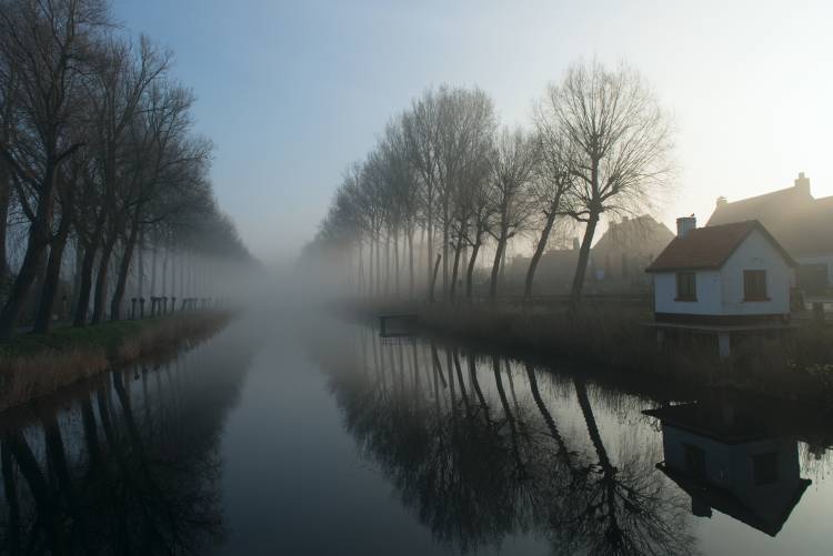 Mist across the Canal à Elisabeth Wehrmann