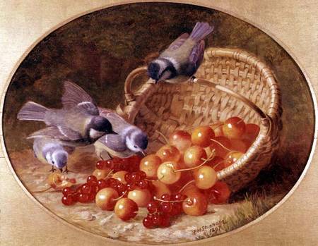 Bluetits pecking at cherries à Eloise Harriet Stannard