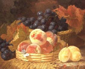 Still Life with Fruit and a Butterfly
