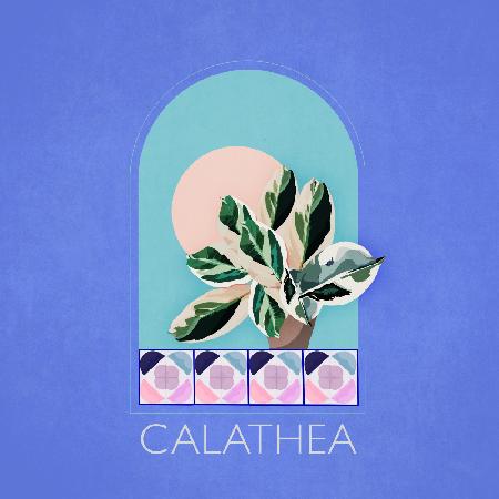 Green Sets Calathea