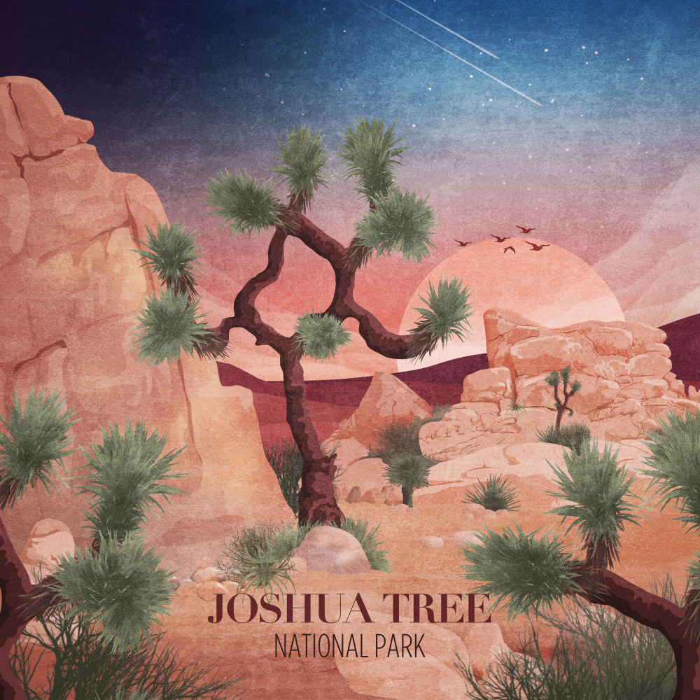 Joshua Tree à Emel Tunaboylu