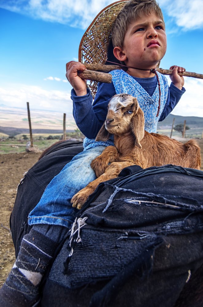 Little shepherd à Emir Bagci