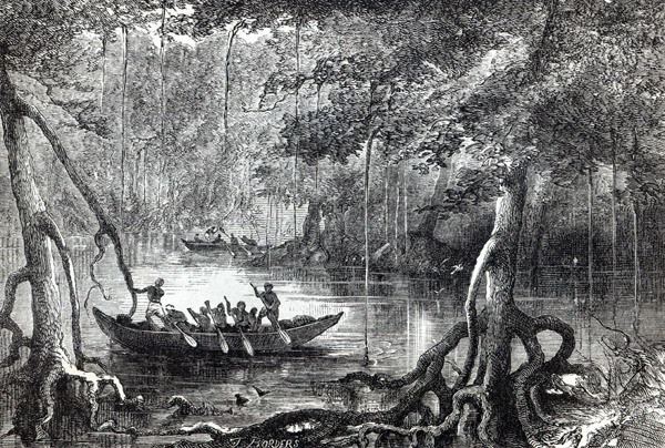 Mangrove Forest'', frontispiece illustration from ''Twenty Nine Years in the West Indies and Central à École anglaise de peinture