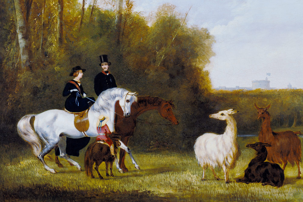 Queen Victoria, Prince Albert and the Prince of Wales at Windsor Park with their Herd of Llamas à École anglaise de peinture