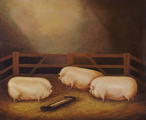Three Prize Pigs outside a Sty à École anglaise de peinture