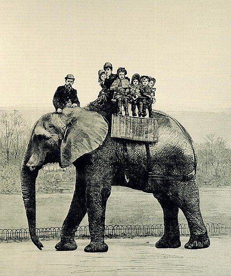 A Farewell Ride on Jumbo, from ''The Illustrated London News'', 18th March 1882 à École anglaise de peinture