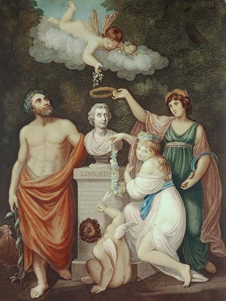 Aesculapius, Flora, Ceres and Cupid Honouring the Bust of Linnaeus, plate 17 from ''The Temple of Fl à École anglaise de peinture