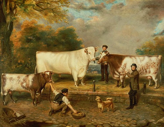 Cows with a herdsman à École anglaise de peinture