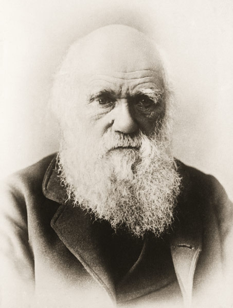 Charles Darwin (litho)  à École anglaise de peinture