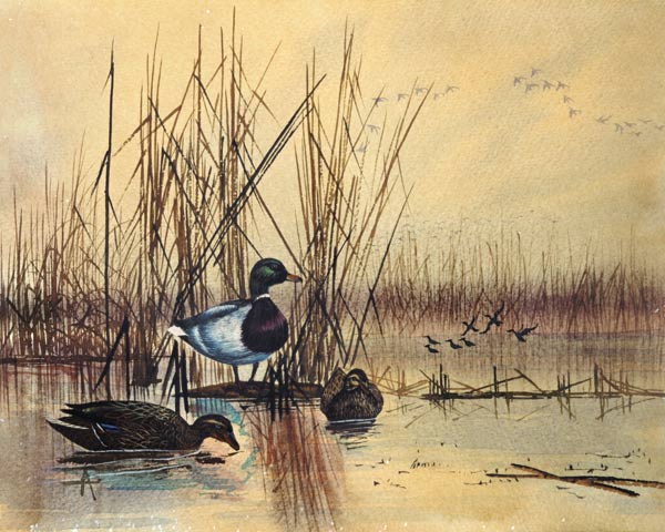 Mallard Ducks in a Lake à École anglaise de peinture