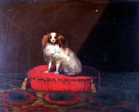 A King Charles Spaniel on a red cushion, Provincial School à École anglaise de peinture
