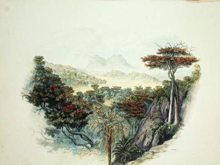 The Mountains, Ceylon  on à École anglaise de peinture
