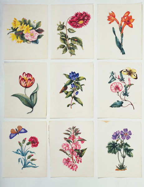 Nine Flower Plates à École anglaise de peinture