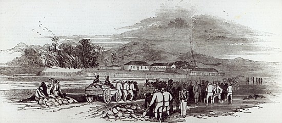 Norfolk Island, from ''The Illustrated London News'', 12th June 1847 à École anglaise de peinture