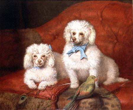 A Pair of Poodles à École anglaise de peinture