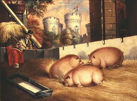 Three Pigs with Castle in the Background à École anglaise de peinture