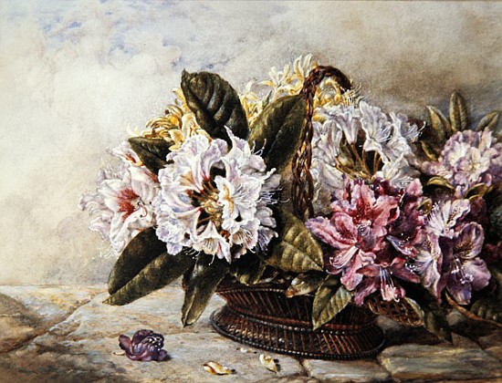 Rhododendrons à École anglaise de peinture