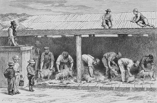 Sheep Shearing, c.1880, from ''Australian Pictures'' Howard Willoughby, publishedthe Religious Tract à École anglaise de peinture