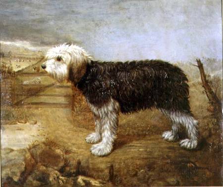 A Sheepdog, Fields Beyond à École anglaise de peinture