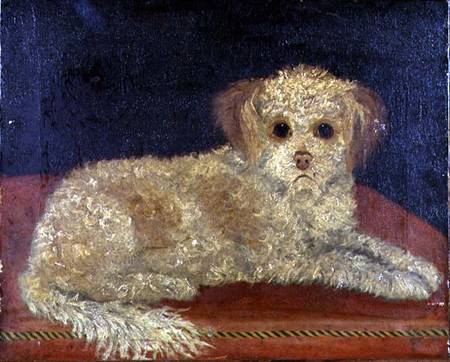 A Terrier on a red cushion, Provincial School à École anglaise de peinture