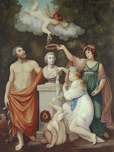 Aesculapius, Flora, Ceres and Cupid Honouring the Bust of Linnaeus, plate 17 from ''The Temple of Fl